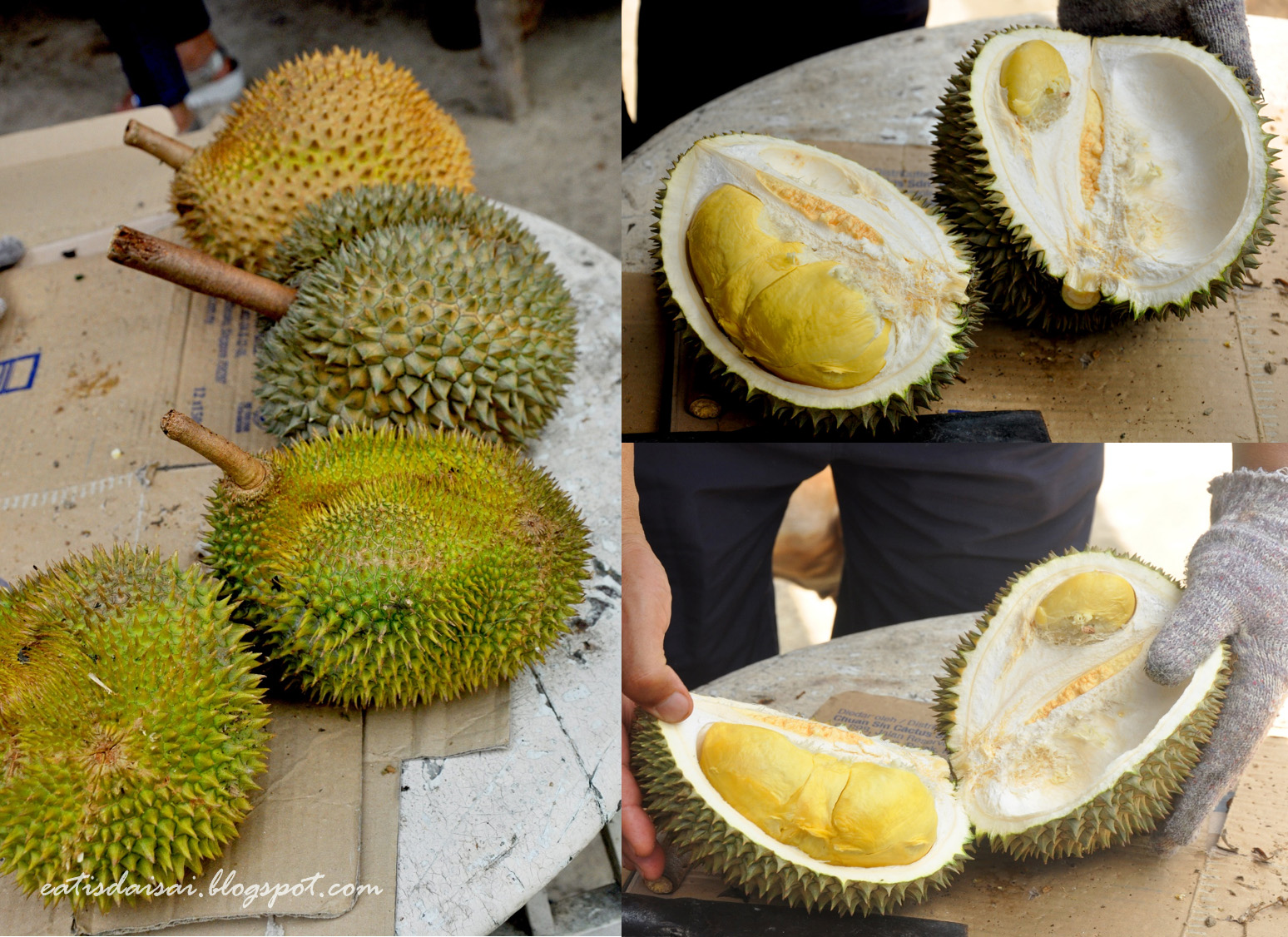乱以食为天: 【彭亨】加叻有机榴莲果园 Karak Organic Durian Farm