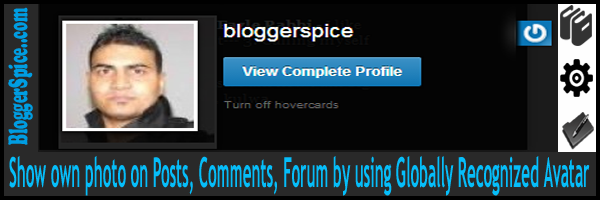BloggerSpice
