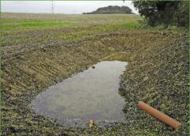 Water Friendly Farming Project: Bringing In The Changes