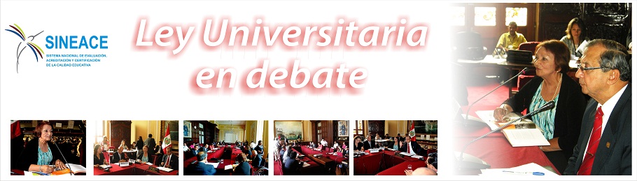Ley Universitaria en Debate