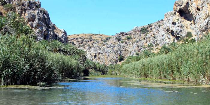 Le palme attorno al fiume Megas Potamos