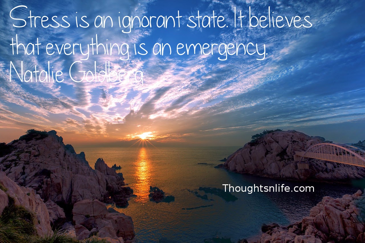 Thoughtsnlife.com: Stress is an ignorant state. It believes that everything is an emergency. Natalie Goldberg