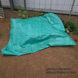 Green tarp covering live animal trap during skunk release Green tarp covering live animal trap containing trapped skunk sitting next to a fence