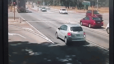 UnhappyBlindKittiwake.gif