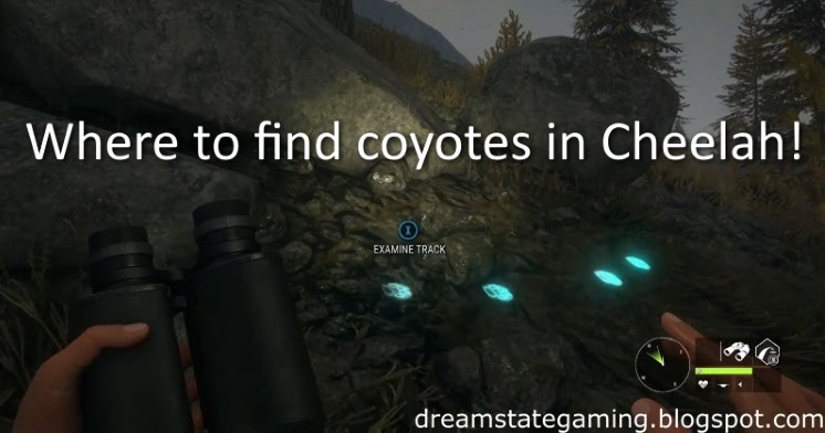 thehunter call of the wild coyote thehunter call of the wild coyote