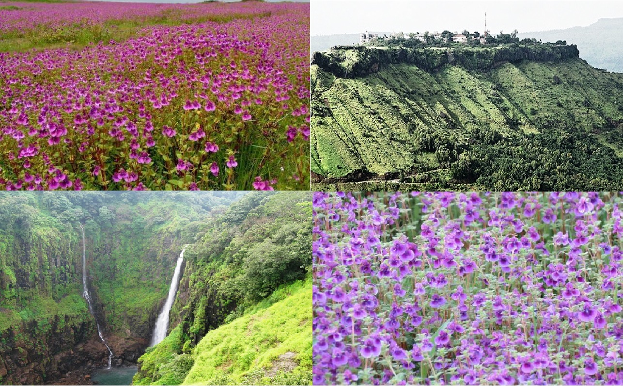 Each Second Matters Valley of Flowers, Maharashtra