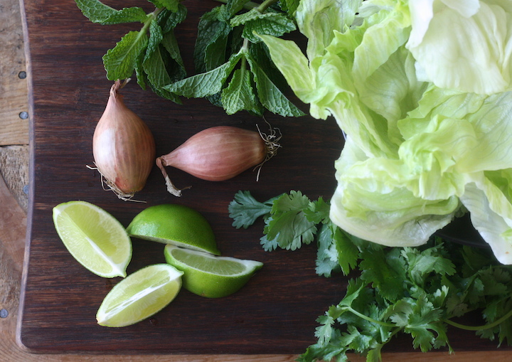 Thai Minced Pork Salad recipe with Lemongrass Ginger Seasoning by SeasonWithSpice.com