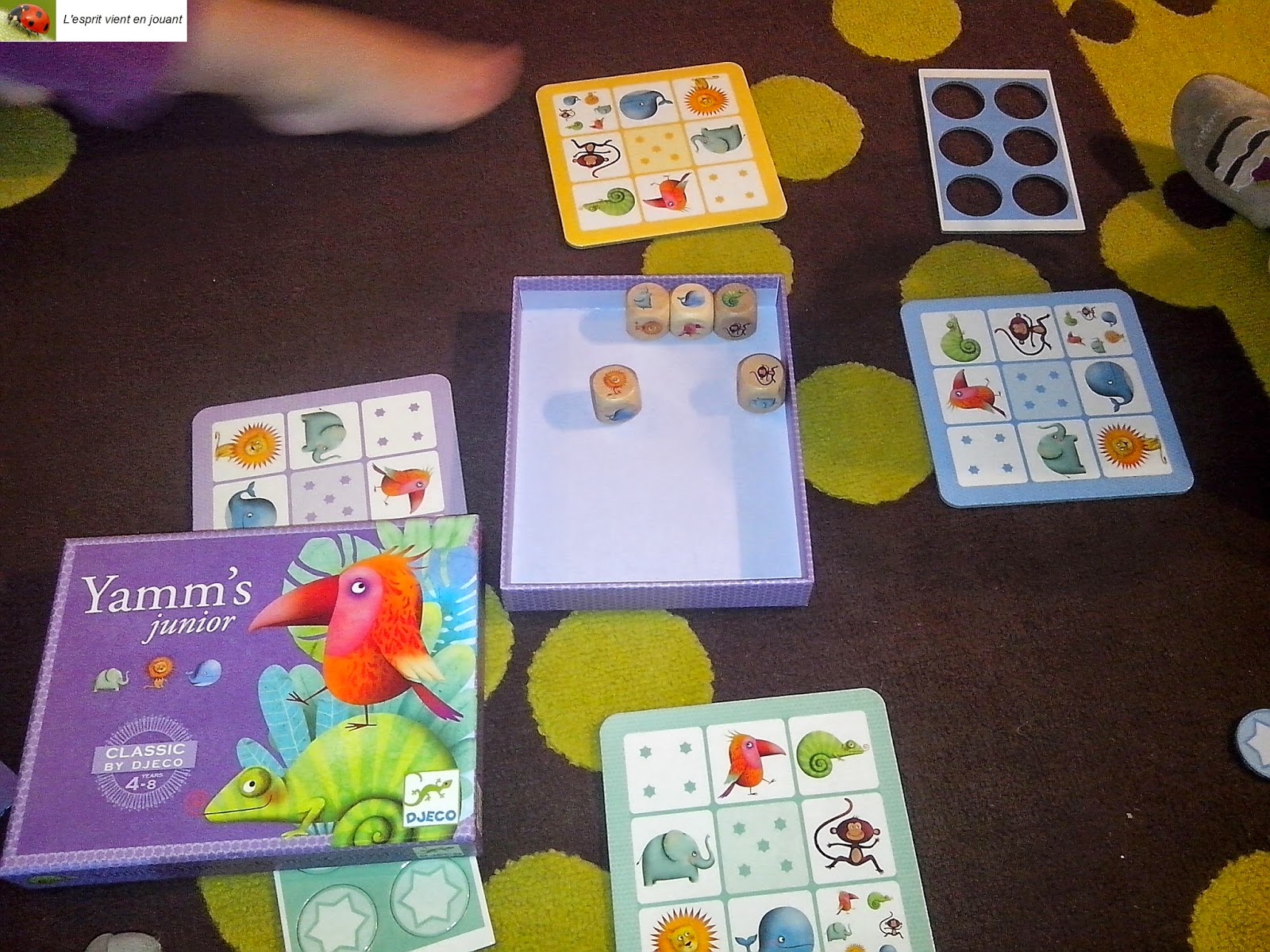 L'esprit vient en jouant [Jeu] Yamm's junior (Djeco)