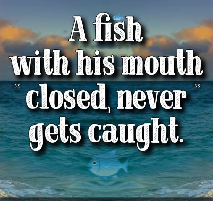 A fish with its mouth closed, never gets caught African Proverb Wise Quote Proverbial