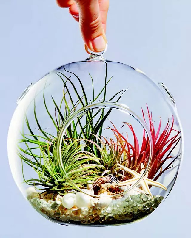 Minisphere
