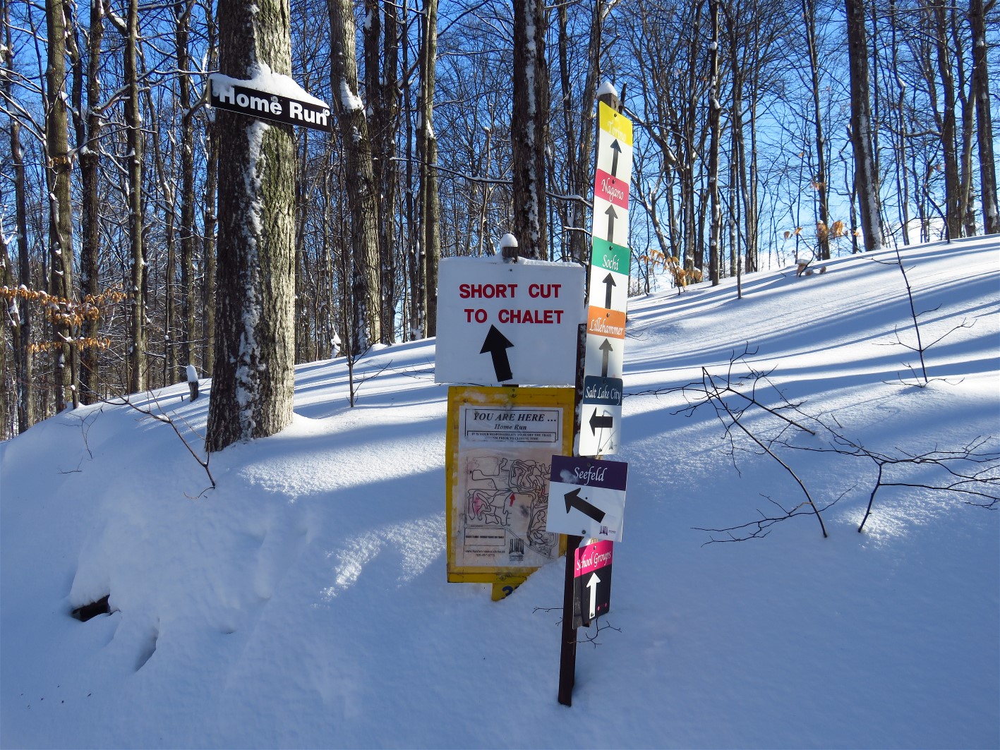 The World of Gord Snowshoeing at Hardwood Hills