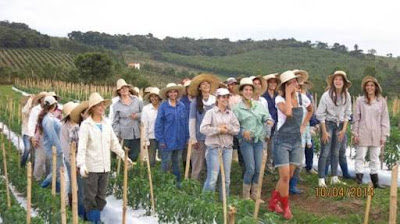 Desa Unik di Dunia Noiva do Cordeiro Desa Unik di Dunia Noiva do Cordeiro