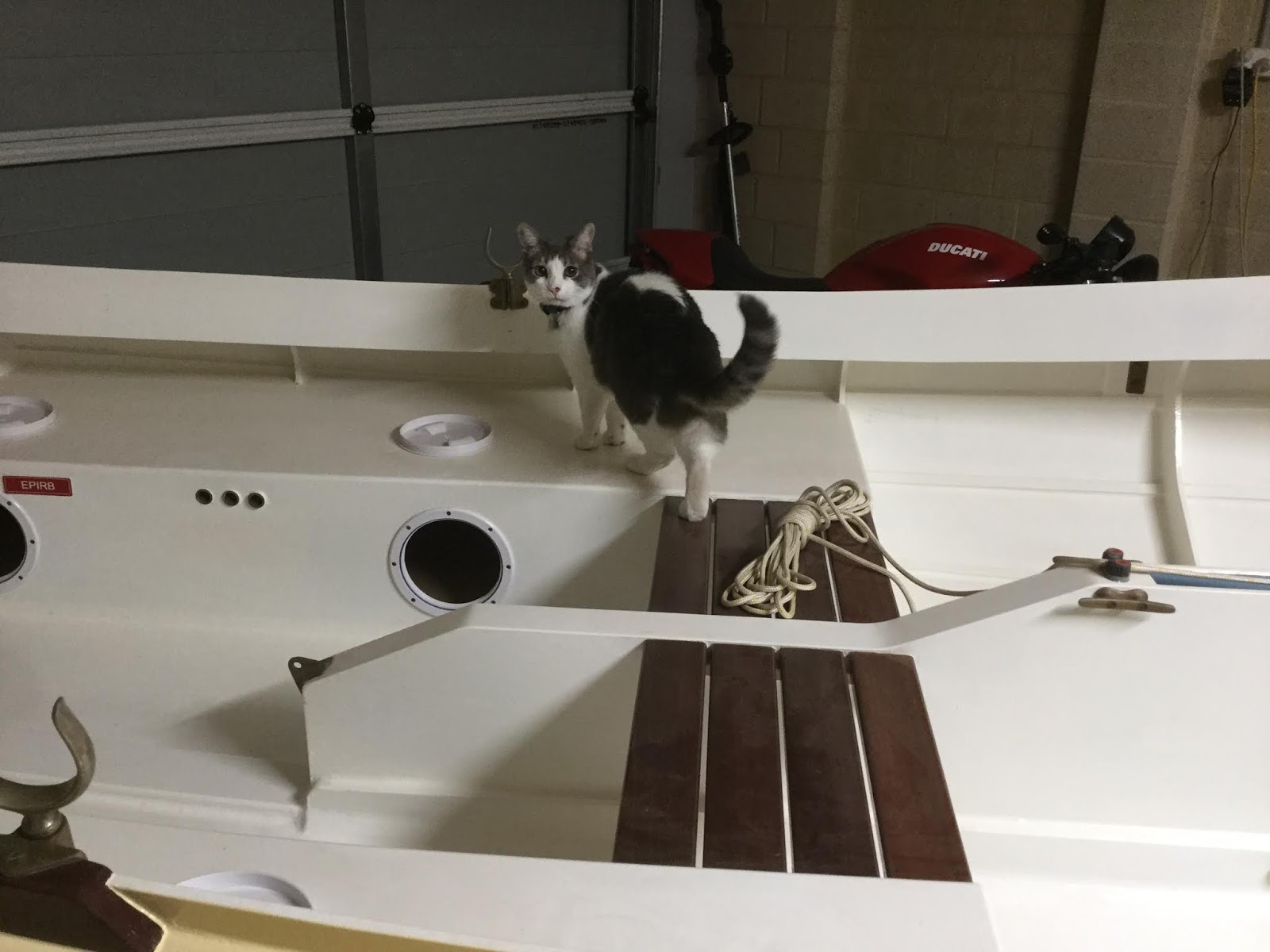 Suzy's Blog Buoyancy chamber inspection.