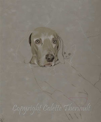 pet portrait commission by animal Artist Colette Theriault