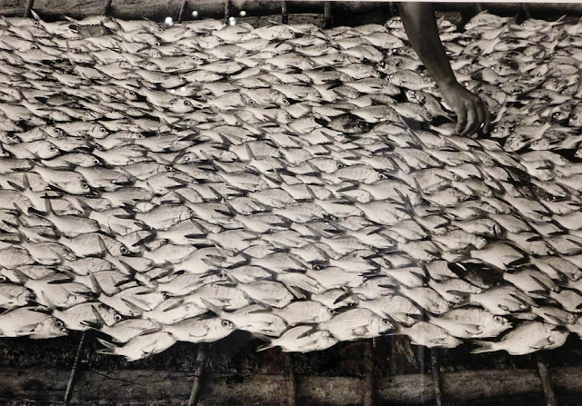 pescaditos, oaxaca 1992