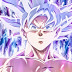 Goku Mastered Ultra Instinct