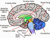 Head Diagram Head Diagram