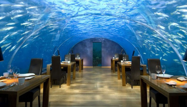 Inilah Tujuh Restoran Bernuansa Bawah Laut Paling Menawan Di Seluruh Dunia Inilah Tujuh Restoran Bernuansa Bawah Laut Paling Menawan Di Seluruh Dunia