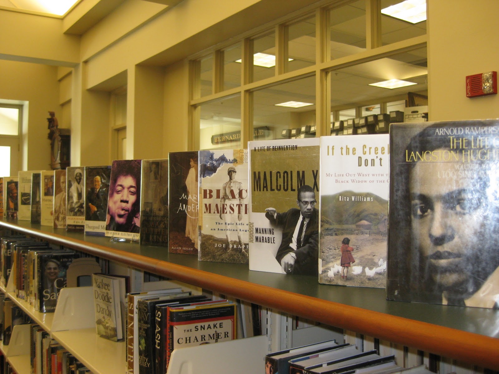 BOOK NEWS AND MORE Black History Month Displays at Bernardsville Library