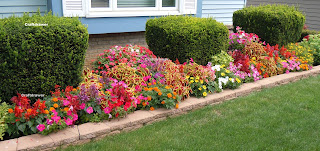 Tips for Affordable Front Yard Landscaping Ideas