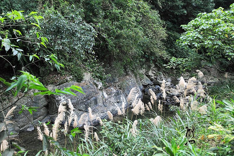 宜蘭頭城農場|原野樂園-焢窯區-窯烤披薩區-蔬菜園-牛舍~田野體驗
