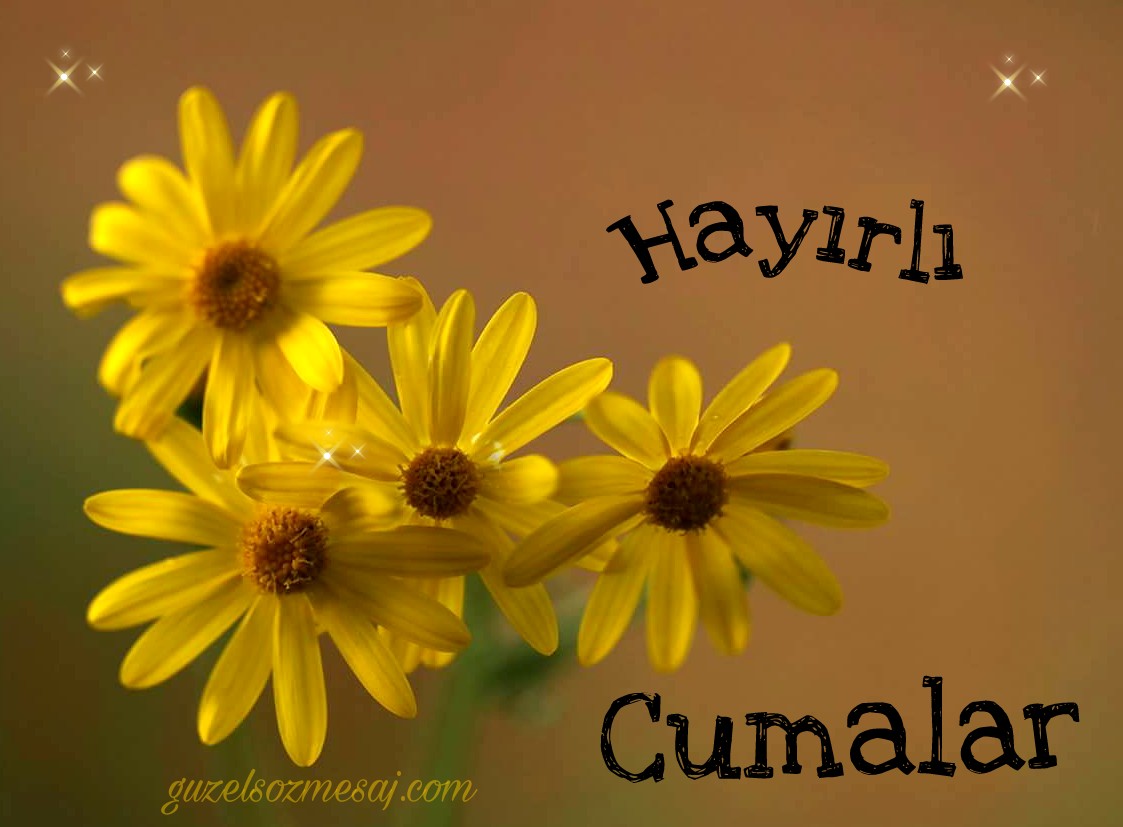 Kurban bayramı mesajları 2019 tumblr Kurban bayramı mesajları 2019 tumblr