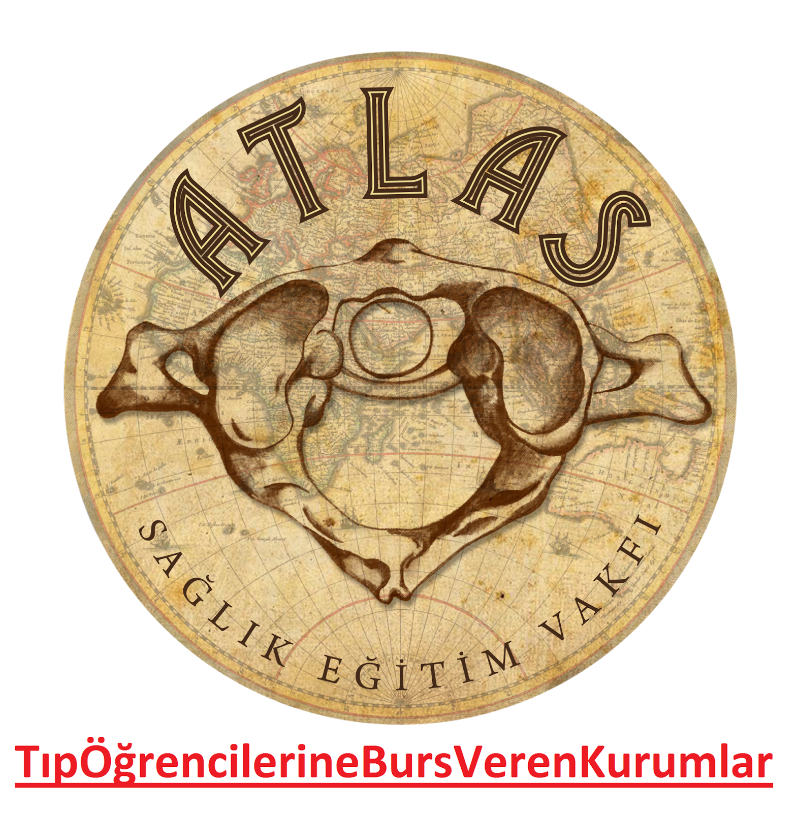 tip ogrencilerine burs veren kurumlar