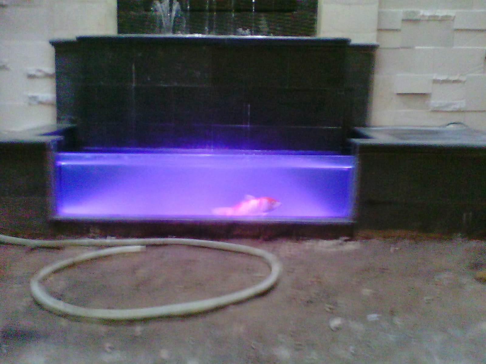 KOLAM MINIMALIS | LAMPU KOLAM | TUKANG KOLAM MINIMALIS JAKARTA - TUKANG