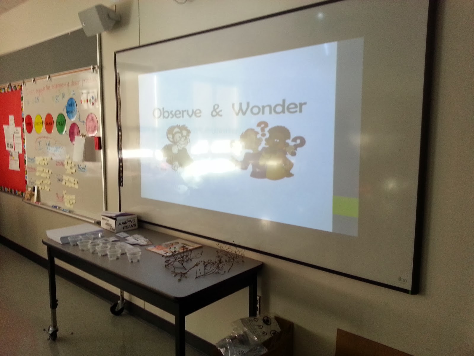 STEM Lab Mexican Jumping Beans Elementary Nest