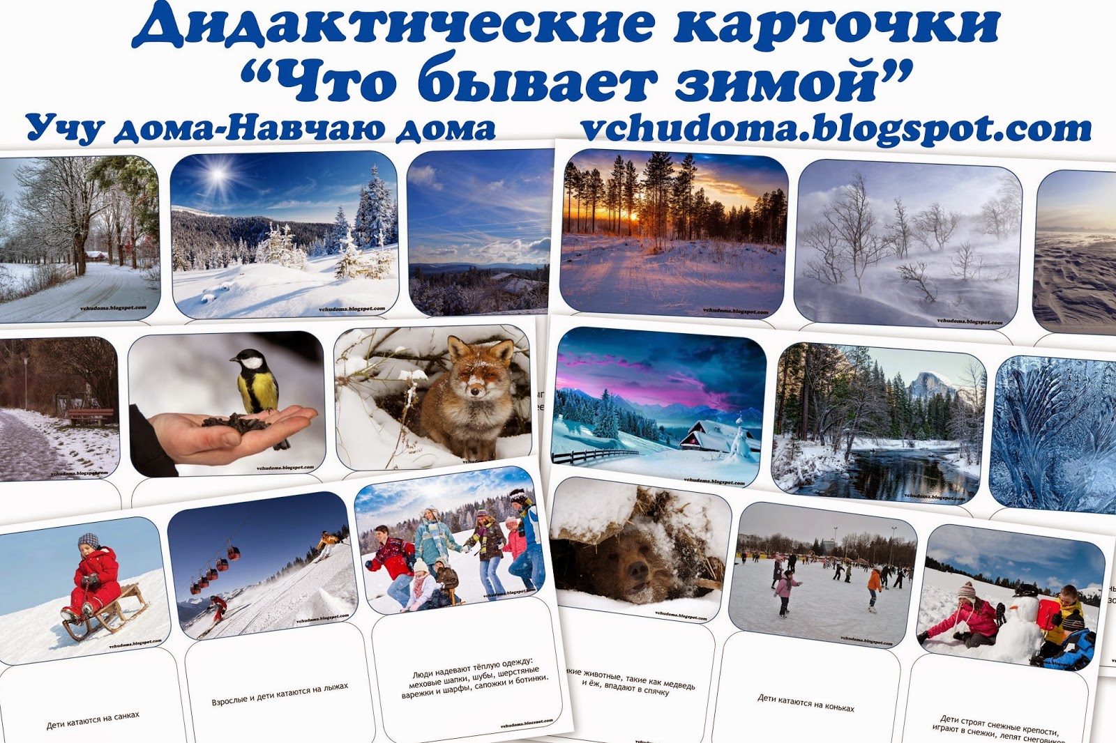 Признаки зимы для дошкольников в картинках