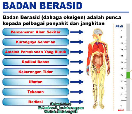 Kronik contoh penyakit 10 jenis