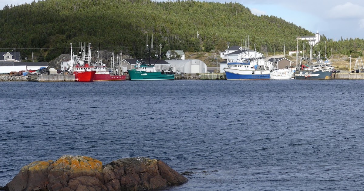 Warmth from the Hearth Fogo, Twillingate, Moreton's Harbour all around the circle.