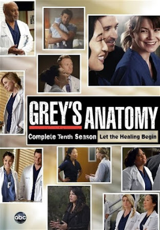 Grey's Anatomy Season 10 (2013)
