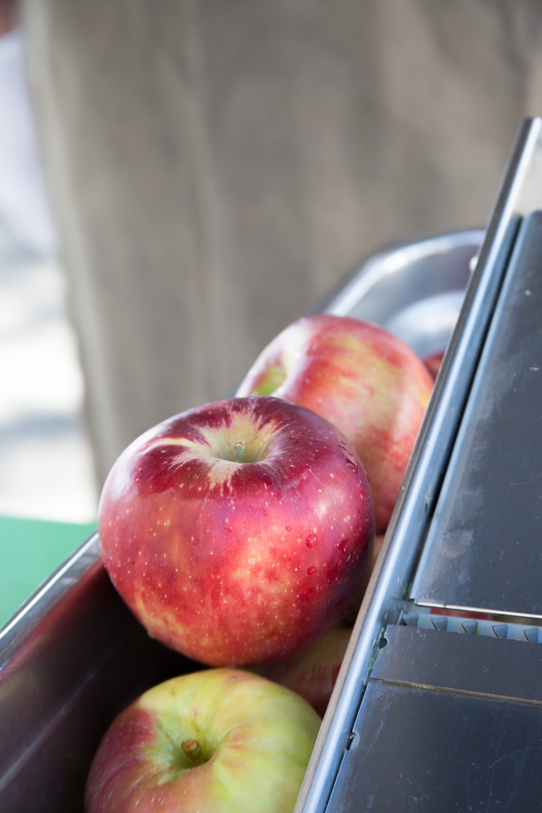MIX! Magazine Jonathan and Honey Crisp Apple Salad