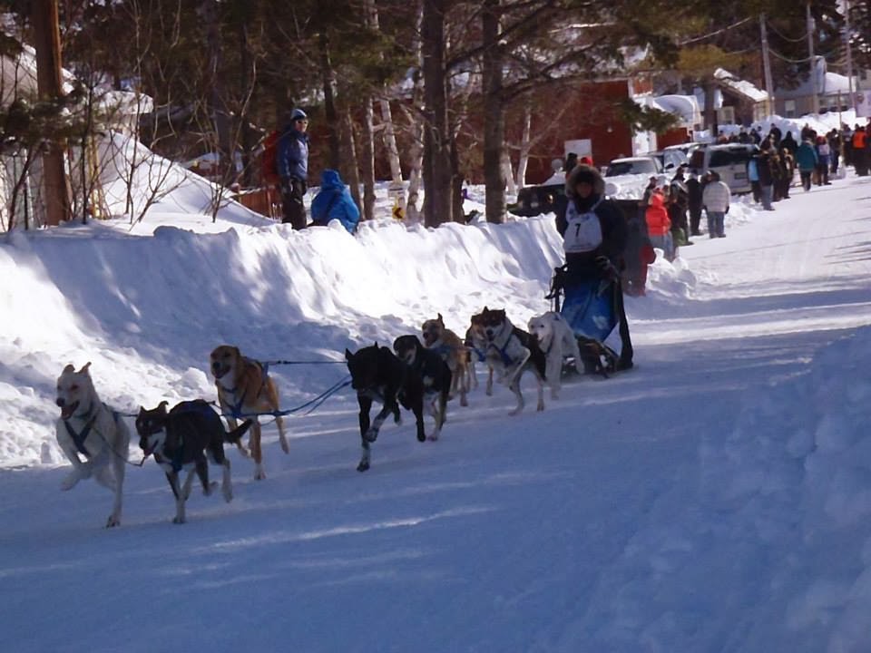 Live the Adventure Copper Dog 150 Sled Dog Race