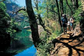 Parque Nacional Huerquehue em Pucón Parque Nacional Huerquehue em Pucón