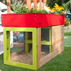 chicken coop kippen obviously totally going rock inspiration know they