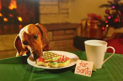 The Dachshund Escapades: December 2013