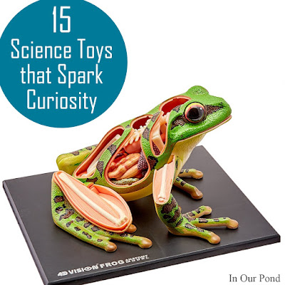 Toys that Spark Curiosity- a gift guide from In Our Pond  #science #christmas #holidays #birthday #kids #toys