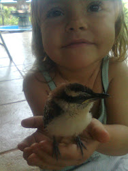 my lttle birdie...