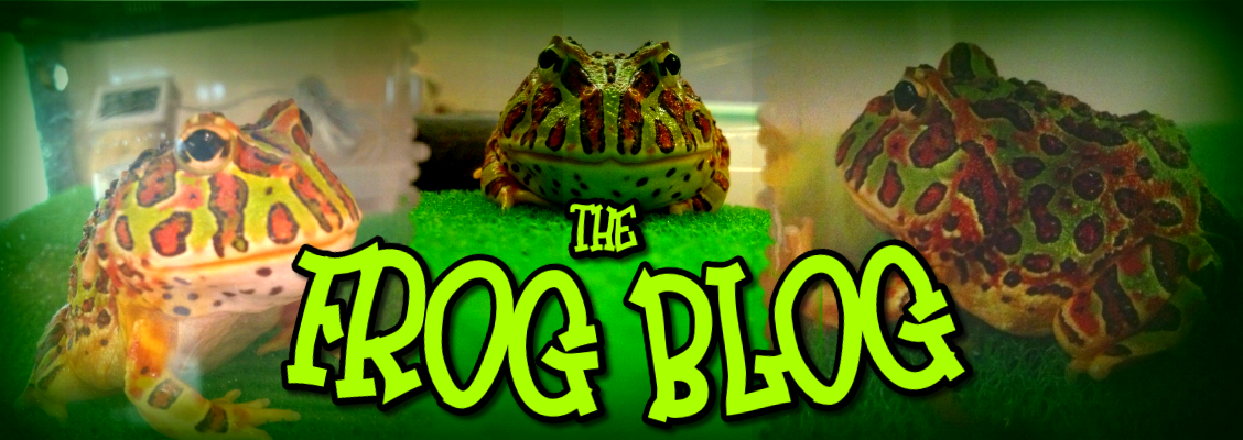 The Frog Blog