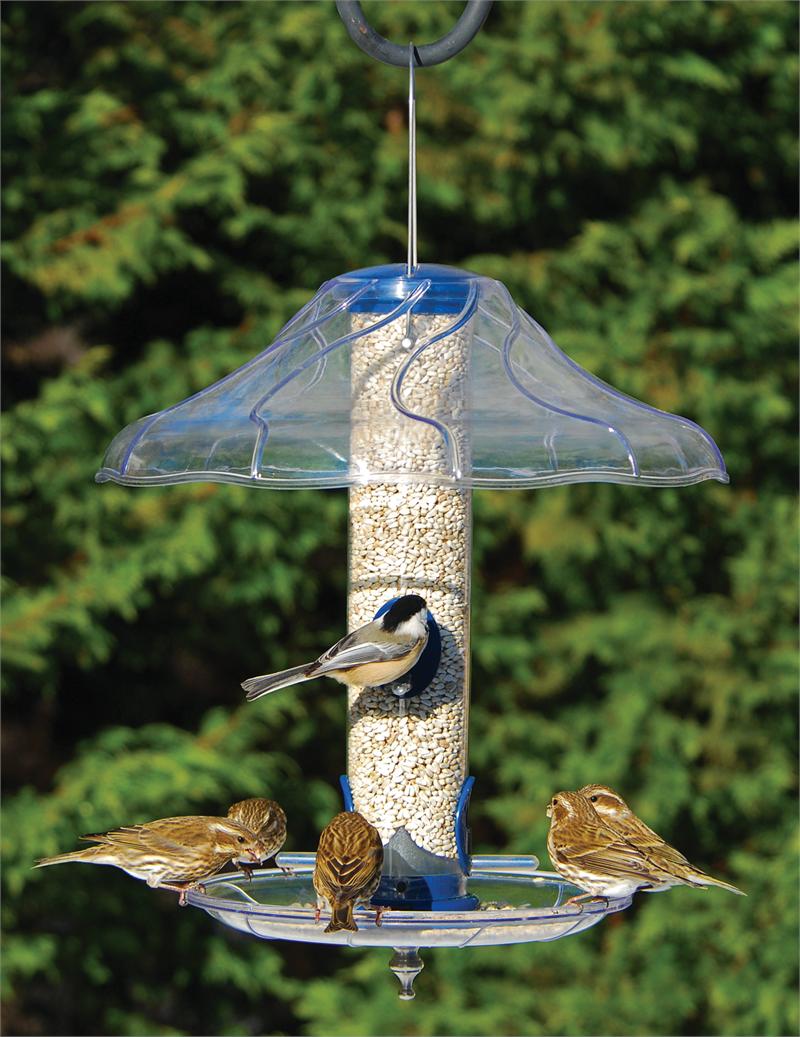 Bird In Everything Bird Seed Tray