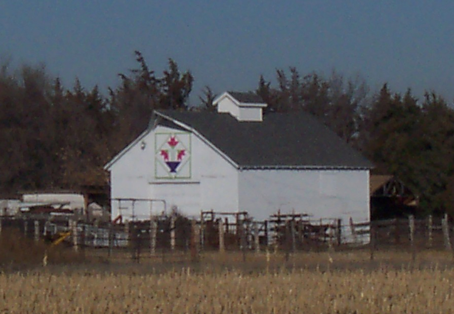County Barn Quilts in Colorado 1.) 'North Carolina Lily' 15132 Co Rd 19 Gene & Lyla