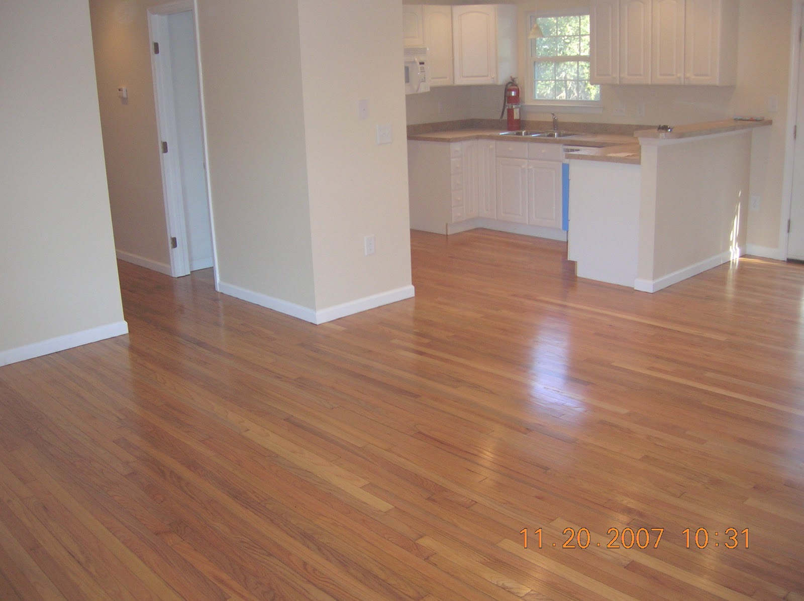 Blood, Sweat, and Pig's Ears The Hurricane House