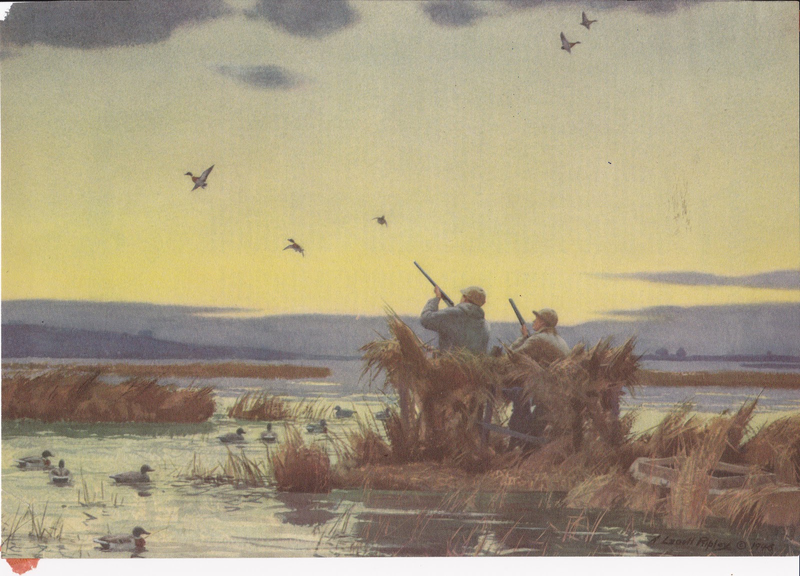 Main Line Sportsman: Sporting Art by Ripley