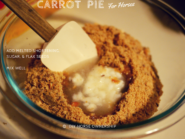 DIY Carrot Pie for Horses Recipe