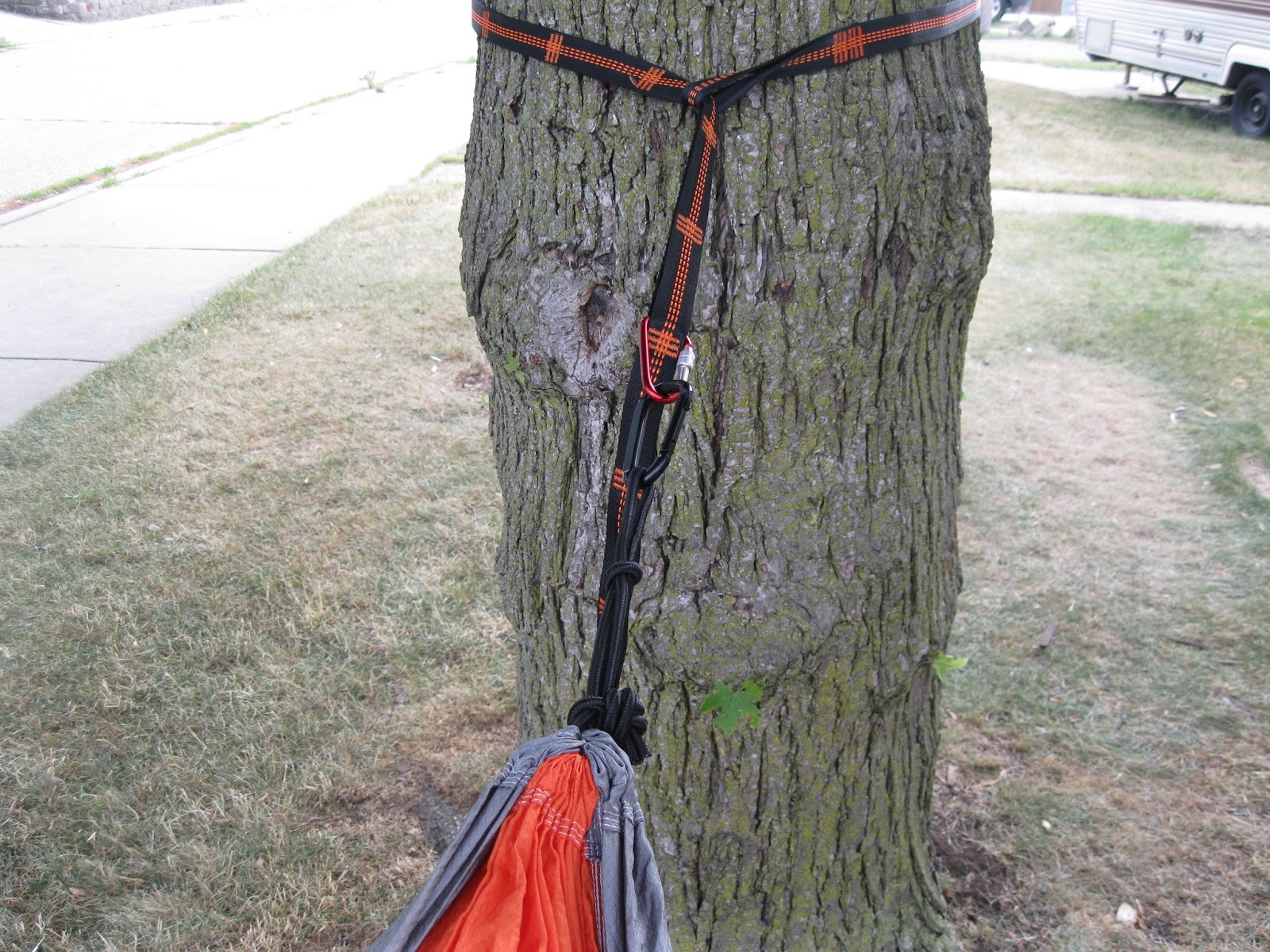 The Minister's Wife Top Quality Hammock Tree Straps From MLVOC