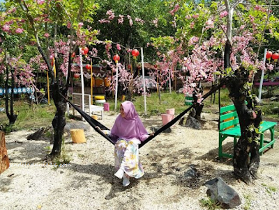 Taman Sakura Ternate, Destinasi Wisata Relaksasi dan Rekreasi Keluarga 