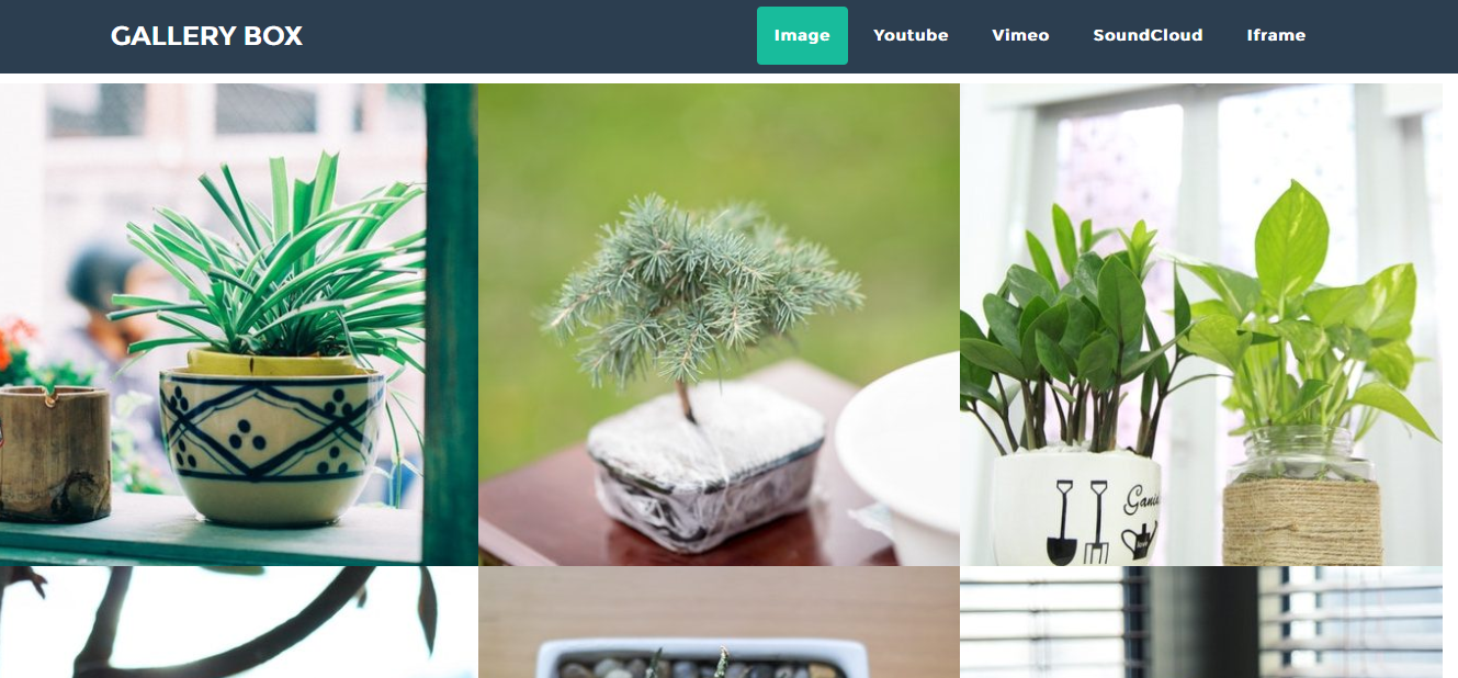 This is a images Gallery box Plugin Gallery box