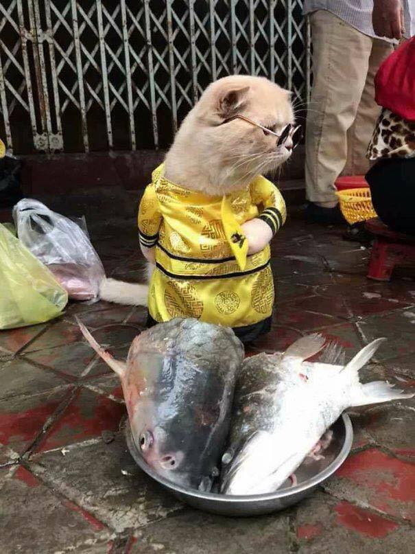 Vietnam �daki En Tatlı Balık Satıcısı İle Tanışın